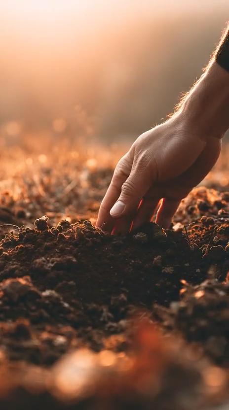 Hand touching healthy soil