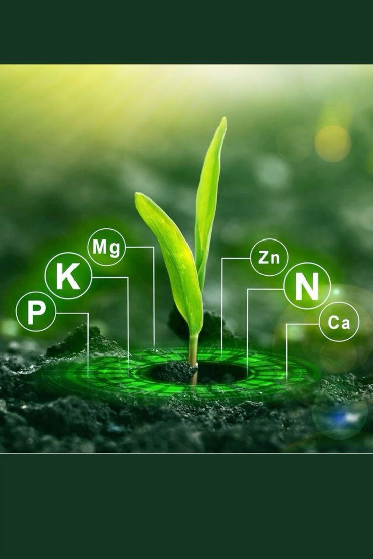 Plant nutrients visualization