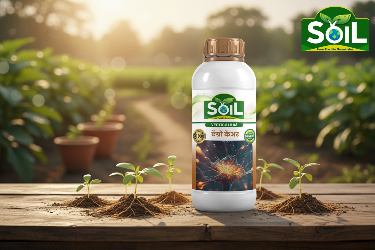 SOIL Verticillium product creative